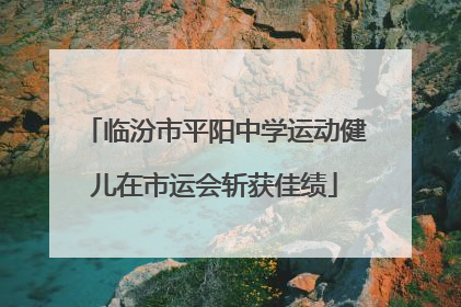 临汾市平阳中学运动健儿在市运会斩获佳绩